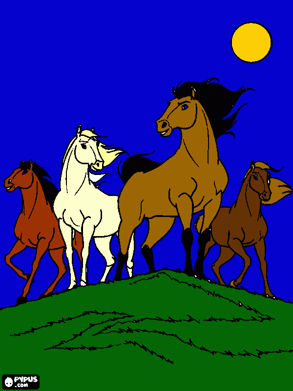 corcel um cavalo que nao desiste para colorir e imprimir