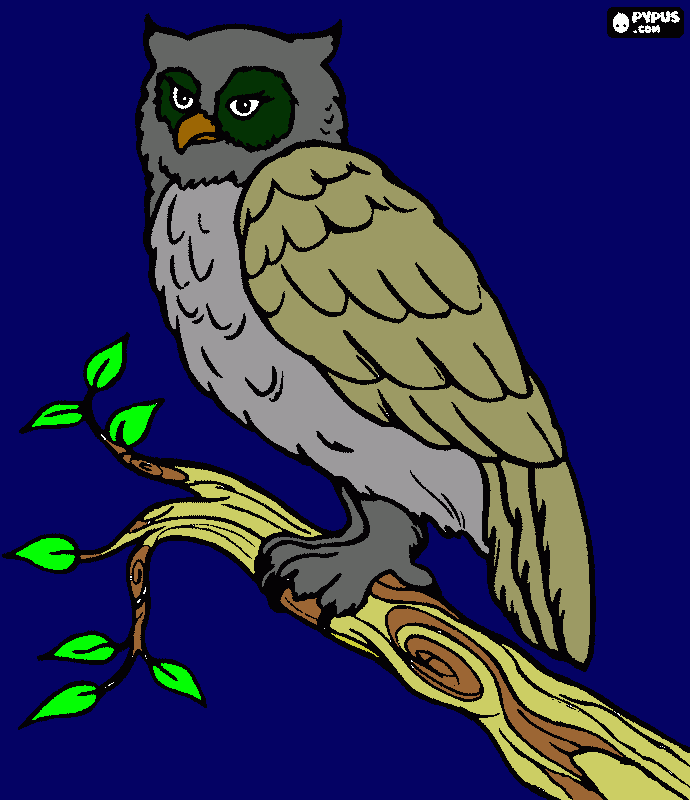 coruja tatuagem para colorir e imprimir