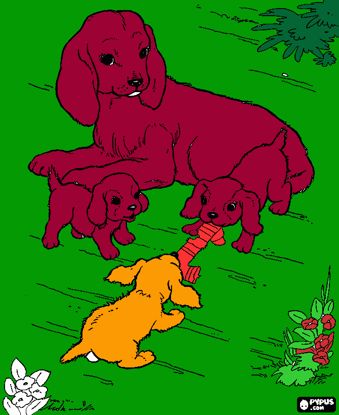 cãezinhos para colorir e imprimir