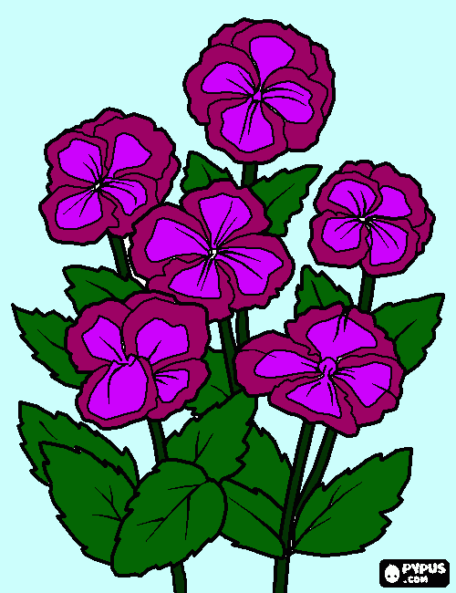 daminha de honra para colorir e imprimir