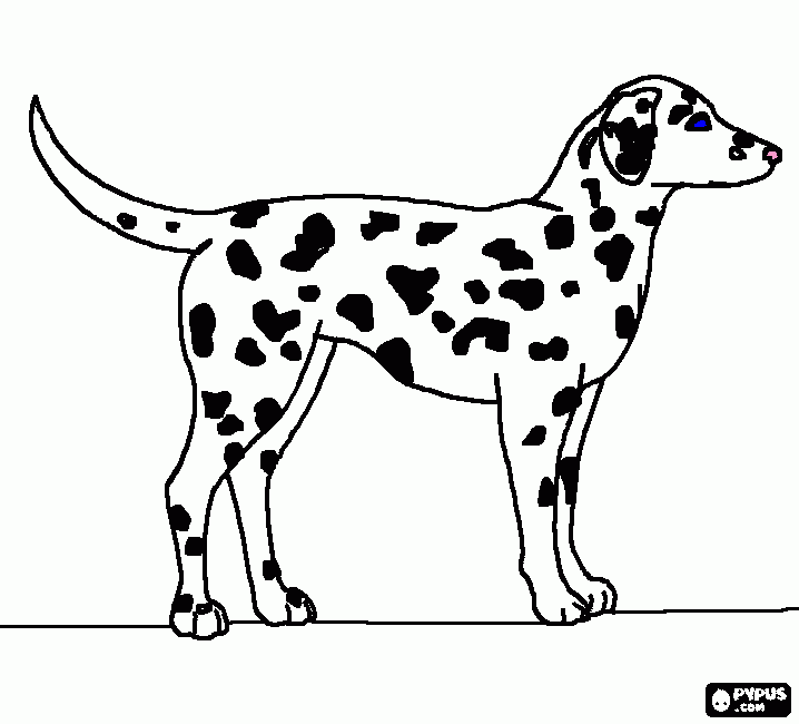 daumata para colorir e imprimir