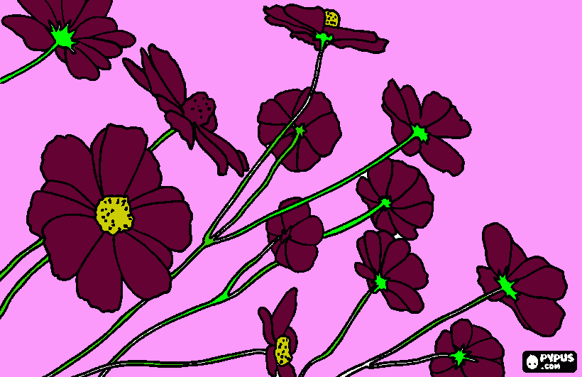 delicadas para colorir e imprimir