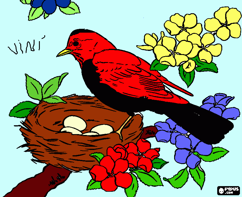 denhenho flamenguinho para colorir e imprimir