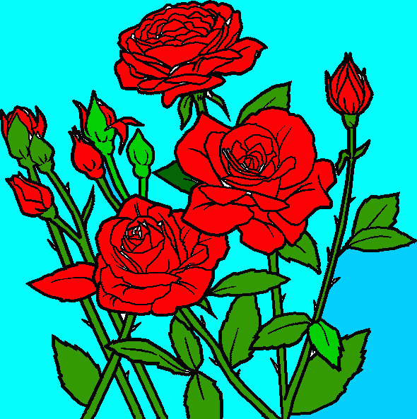 DESCULPAS para colorir e imprimir