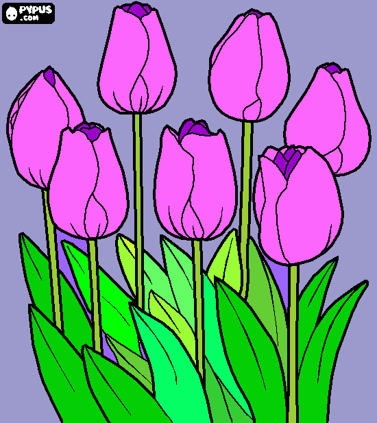 Desejos de bom dia para colorir e imprimir