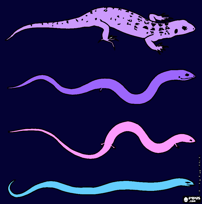 desenho cobrinhas  para colorir e imprimir