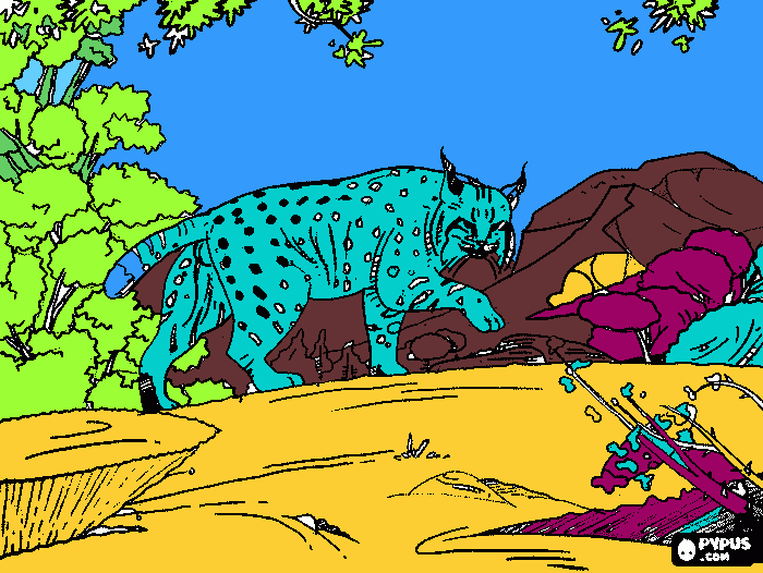 desenho da linux para colorir e imprimir