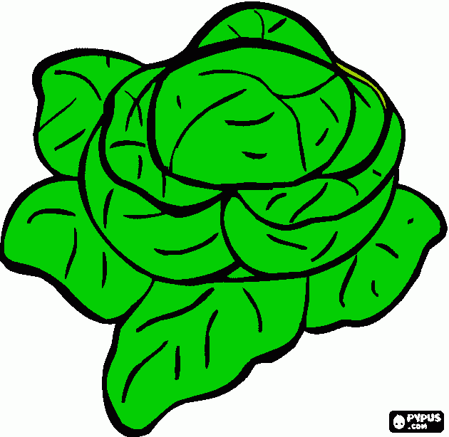 desenho da planta alface ja pintada para colorir e imprimir