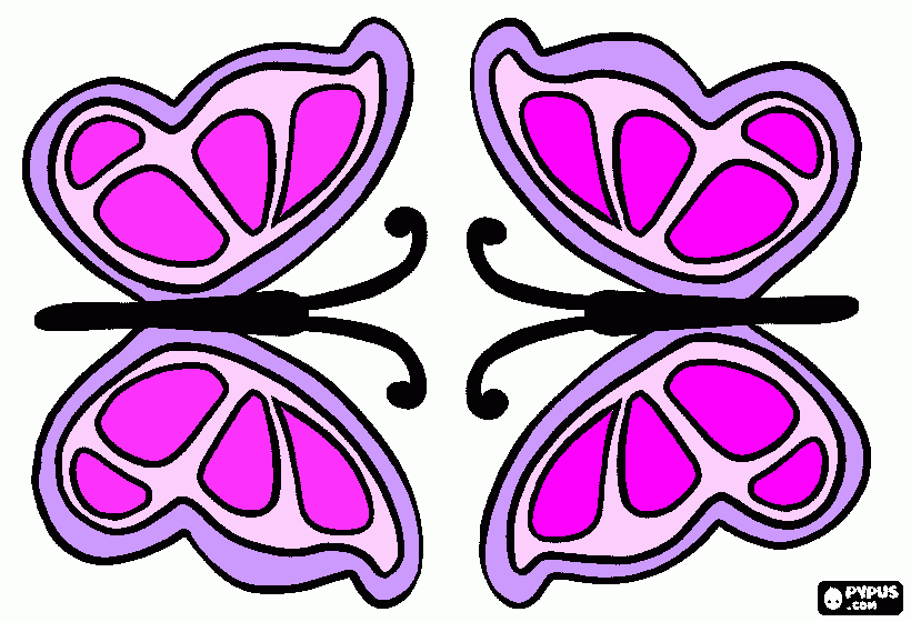 Desenho de 2 linhas de borboletas  para colorir e imprimir