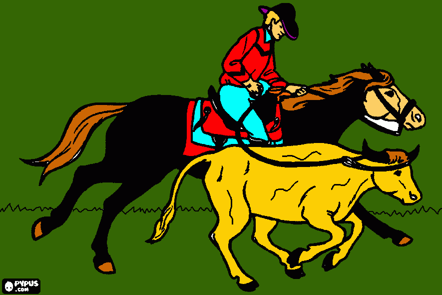 desenho de cawboy ou vaqueiro que monta um cavalo e que trava uma cabeça de gado com o lasso para colorir e imprimir