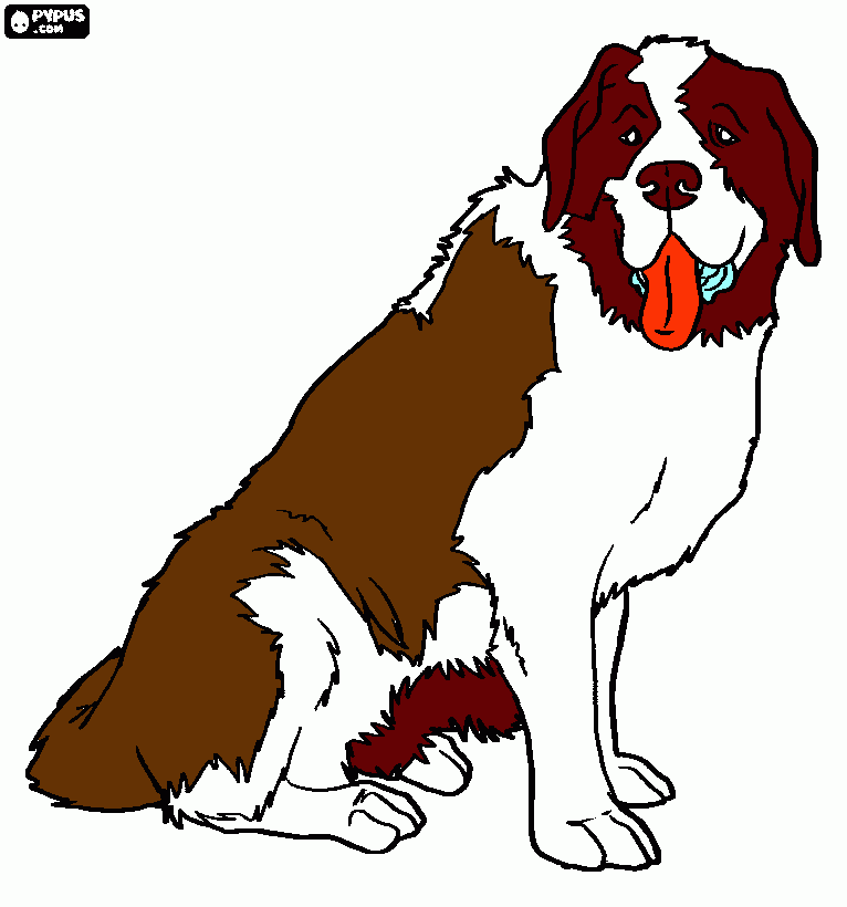 desenho de Cão Saint Bernard sentado para colorir e imprimir