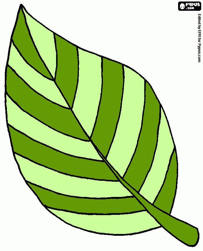 Desenho de Folha de uma folha para colorir e imprimir