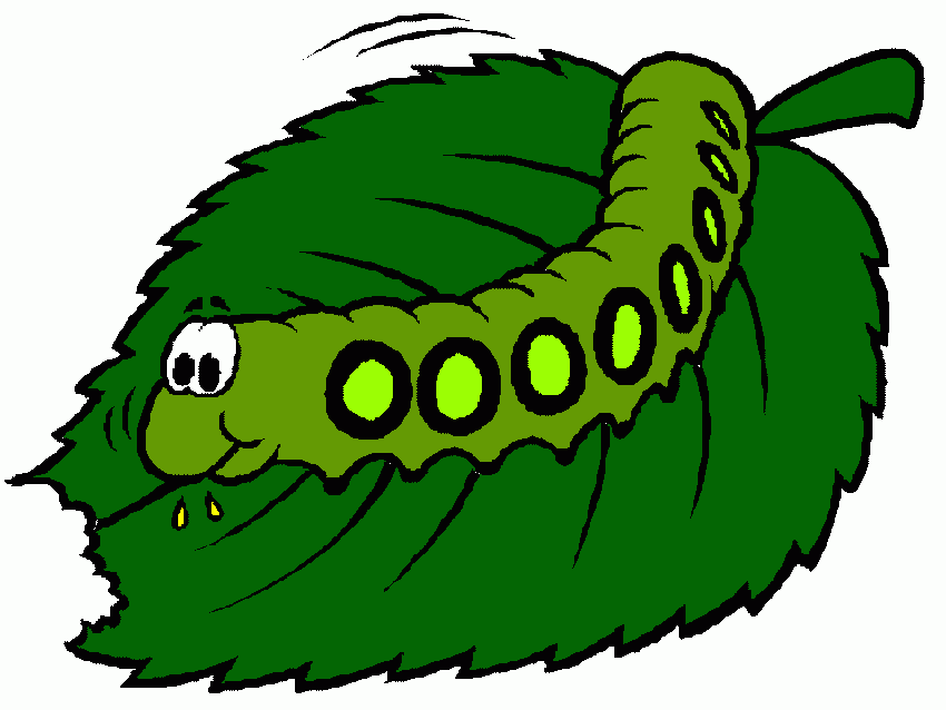 desenho de lagarta comendo folha para colorir e imprimir