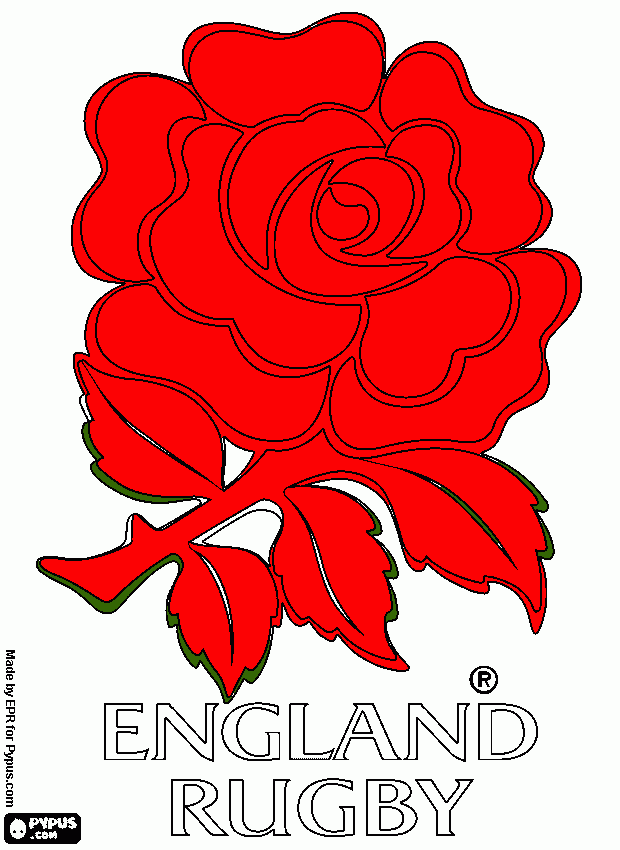 desenho de logo da equipe de rugby da inglaterra. emblema , a rosa vermelha  para colorir e imprimir