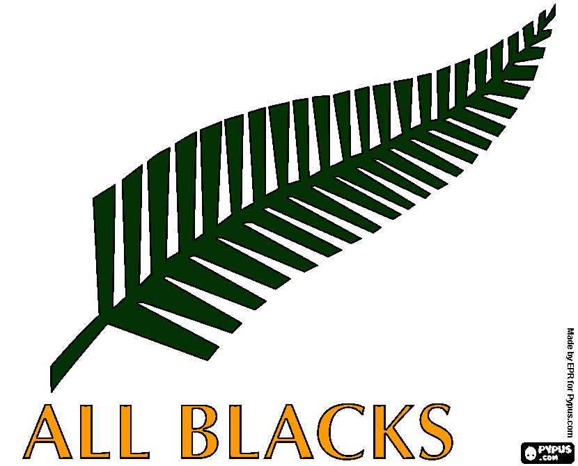 desenho de logo da esquipe de rugby da nova zelandia  para colorir e imprimir