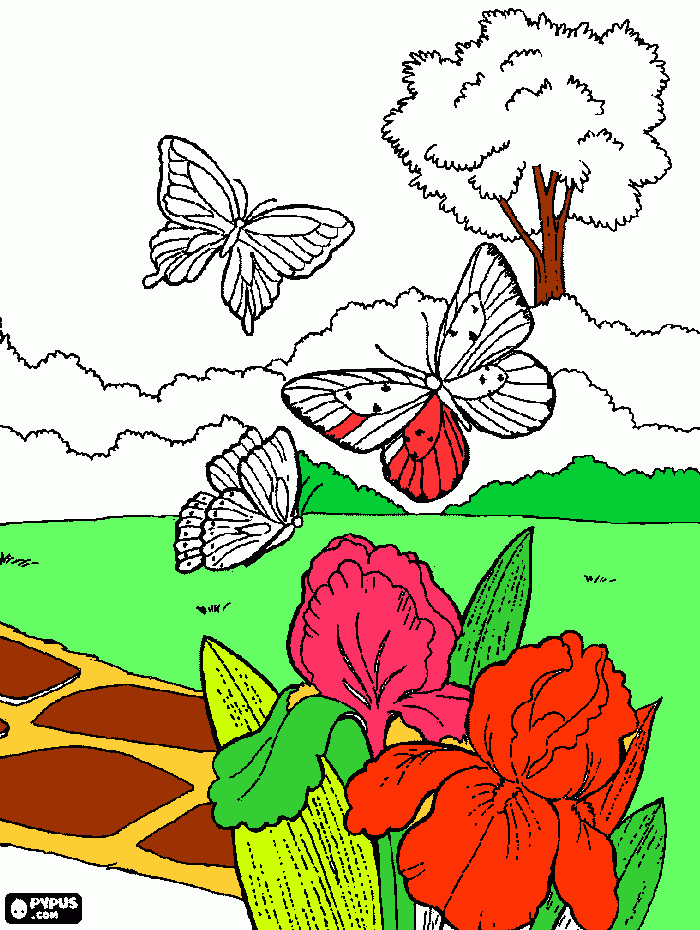 desenho de tres borboletas voando em volta do jardim para colorir e imprimir