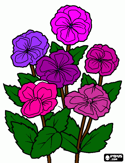 desenho de violeta para colorir e imprimir
