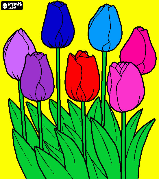 Desenho-Flores/Yasmin para colorir e imprimir