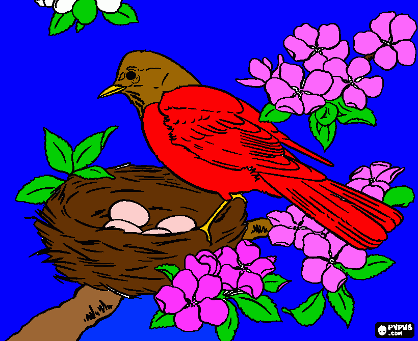 Desenho Joãozinho para colorir e imprimir