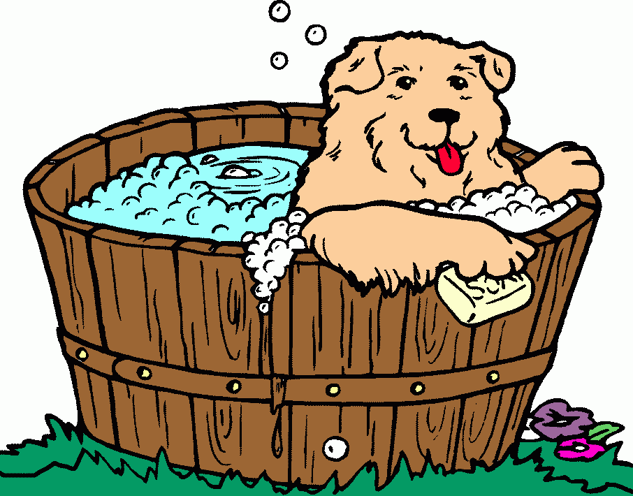 Desenho pet para colorir e imprimir