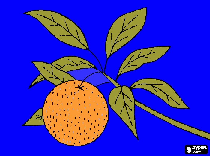 des.tangerina para colorir e imprimir