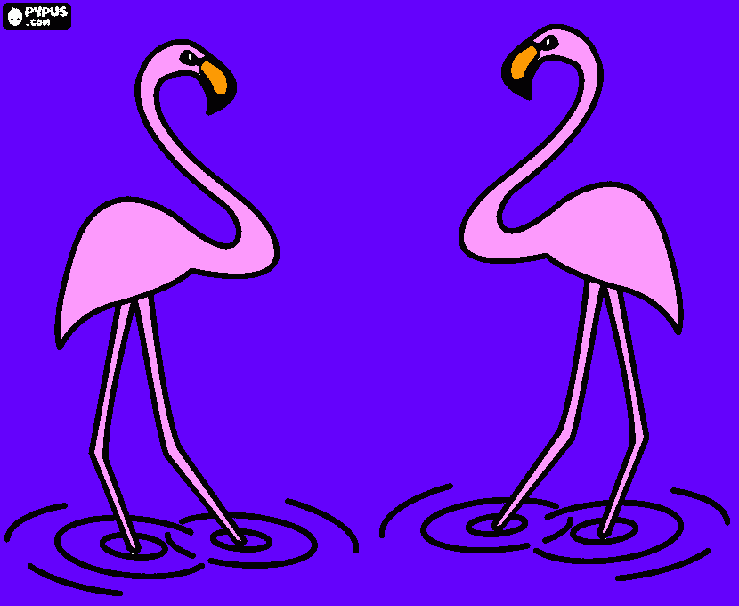 duas segonhas para colorir e imprimir