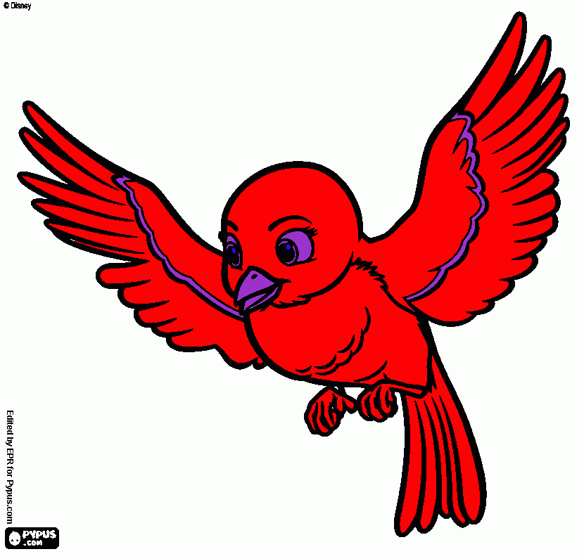 e um passaro de vermelho para colorir e imprimir