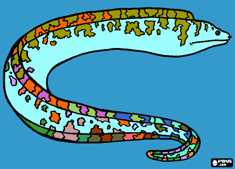 enguia para colorir e imprimir