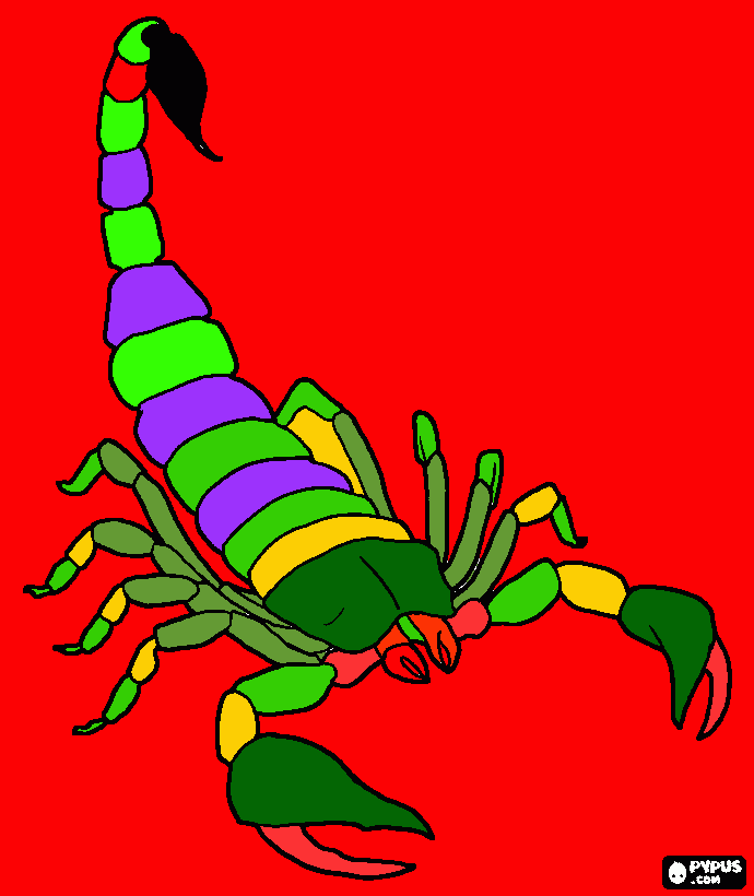 escorpião colorido para colorir e imprimir