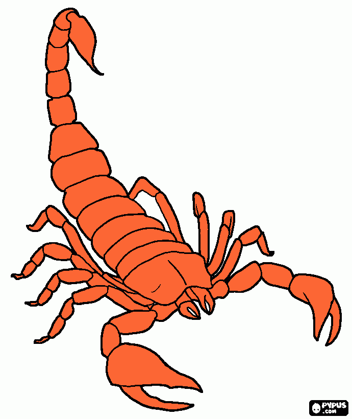 escorpião para colorir e imprimir