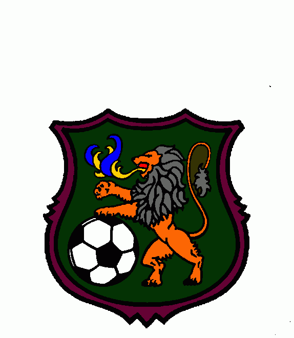 escudo  da feras da bola para colorir e imprimir