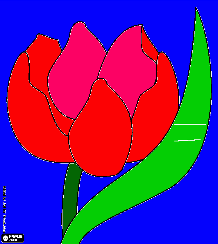 essa  e  a  famosa  rosa para colorir e imprimir