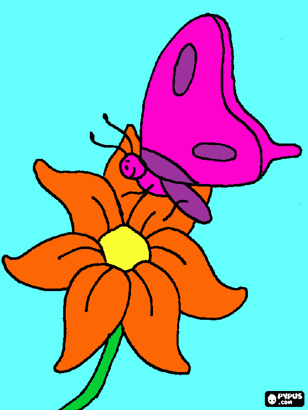 estudo das borboletas para colorir e imprimir