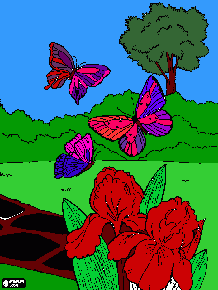 eu gabriela colori este desenho so para mostra para os meus amigos ver que lindo. para colorir e imprimir