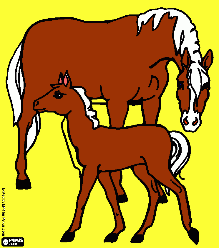 Eu Gostei Dos Cavalos para colorir e imprimir