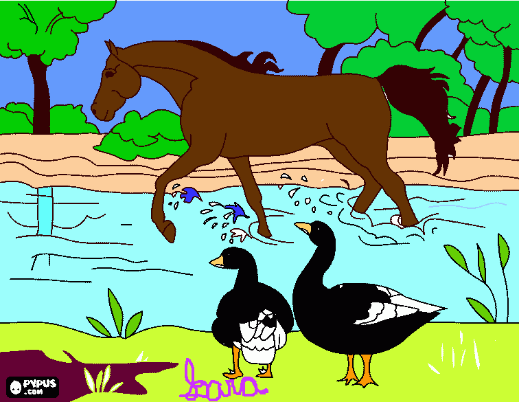 fazenda com cavalo no rio para colorir e imprimir