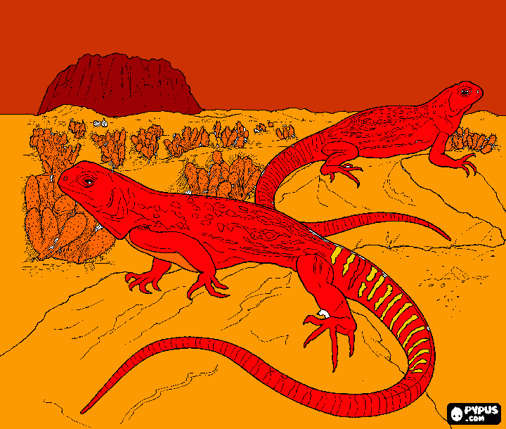 fire dragons para colorir e imprimir