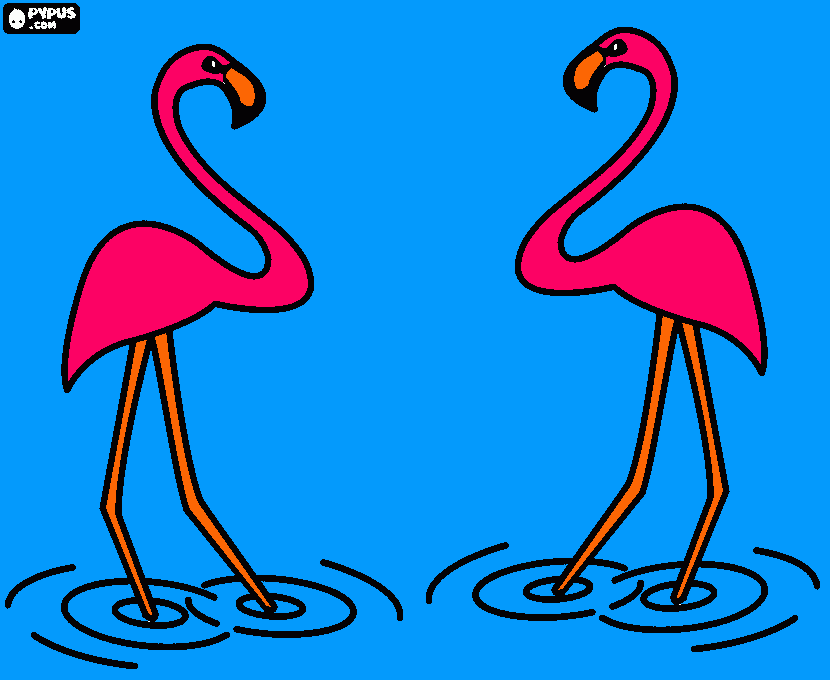 flaminog para colorir e imprimir