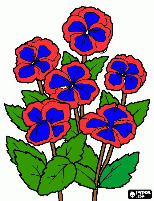 flor colorida de vermelho e azul para colorir e imprimir