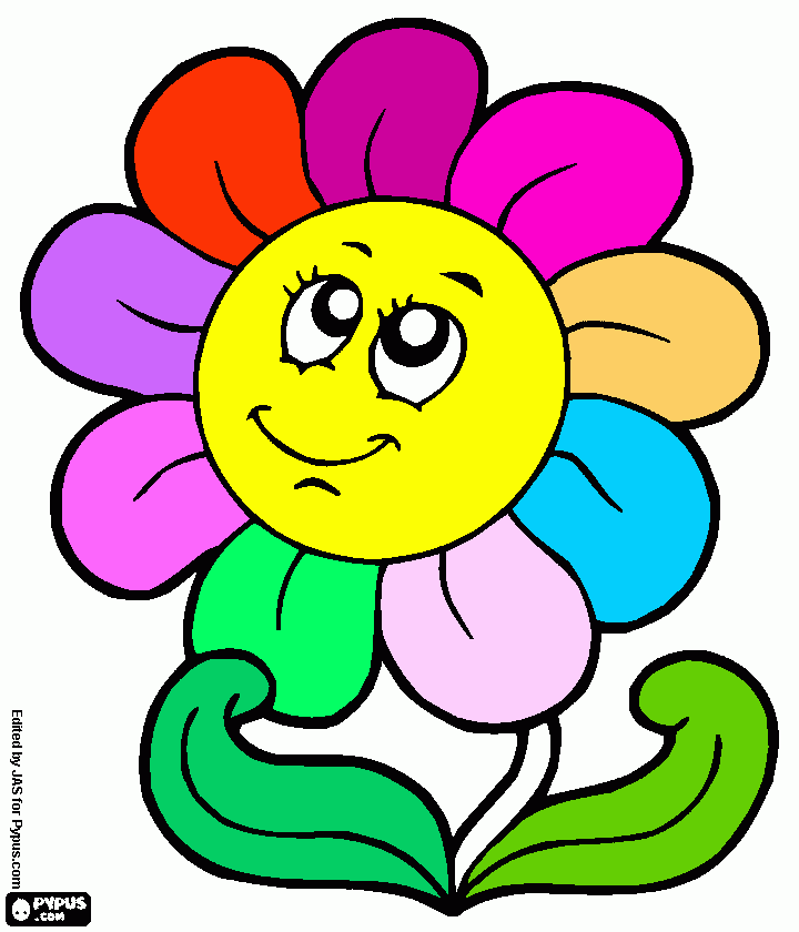 flor com muitas cores para colorir e imprimir