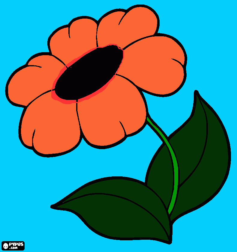 Flor gerbera... para colorir e imprimir