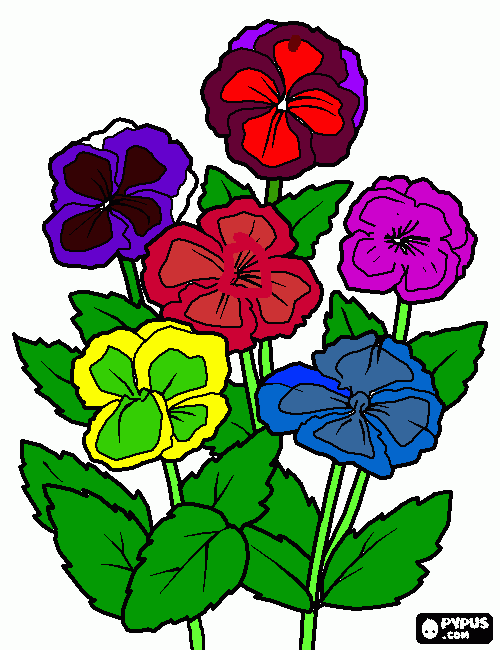 flores bonitas para colorir e imprimir