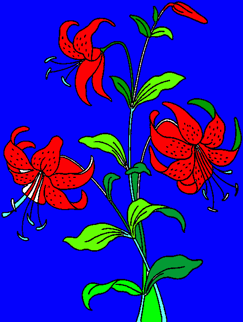 flores coloridas para colorir e imprimir