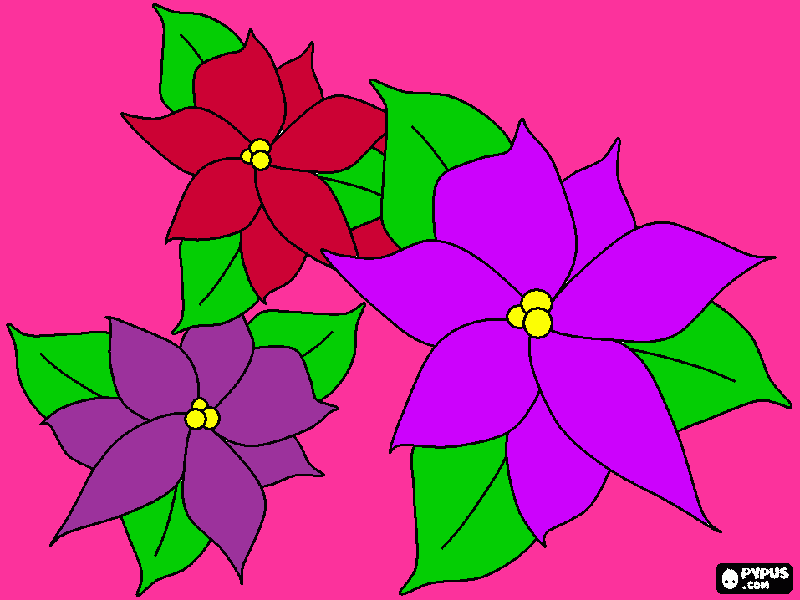 flores do mar para colorir e imprimir