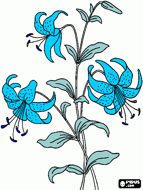 flores orientais para colorir e imprimir