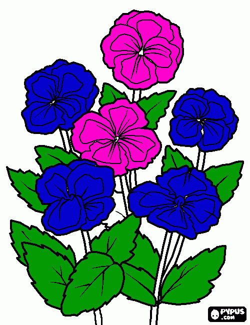 flores violeta para colorir e imprimir