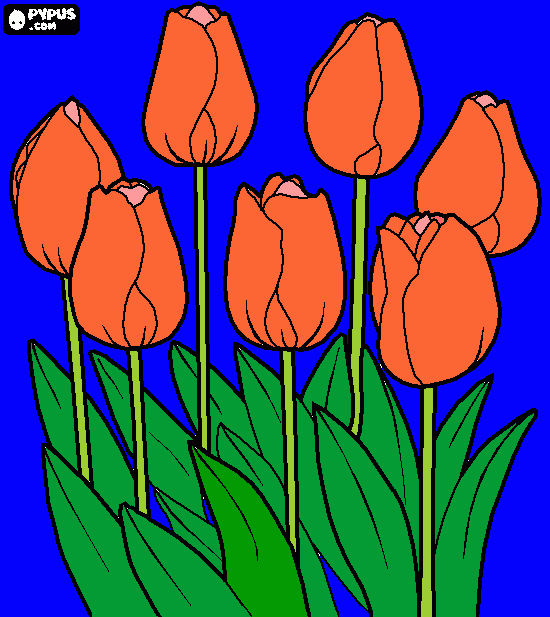 flores,com folhas verdes e tabem um azul bem  chegante  no fundo para colorir e imprimir