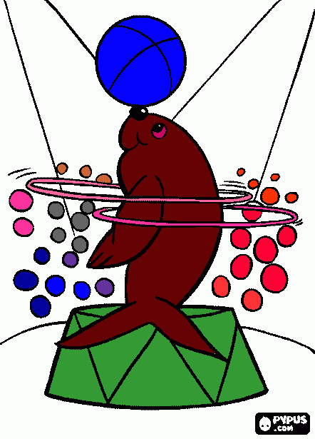 foca no circo para colorir e imprimir