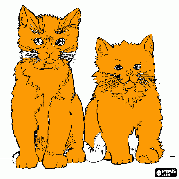 fofo,engraçado,giro e divertido para colorir e imprimir