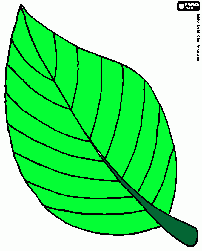 folfa para colorir e imprimir